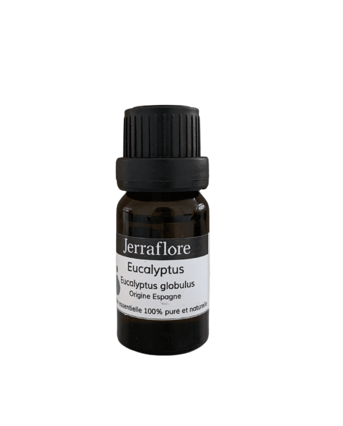 Huile Essentielle Eucalyptus Globulus 10 ml – Jerraflore