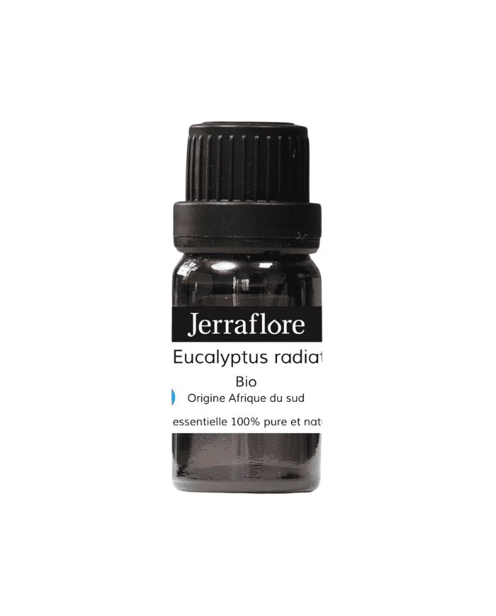 Huile Essentielle Eucalyptus Radiata Bio 10 ml