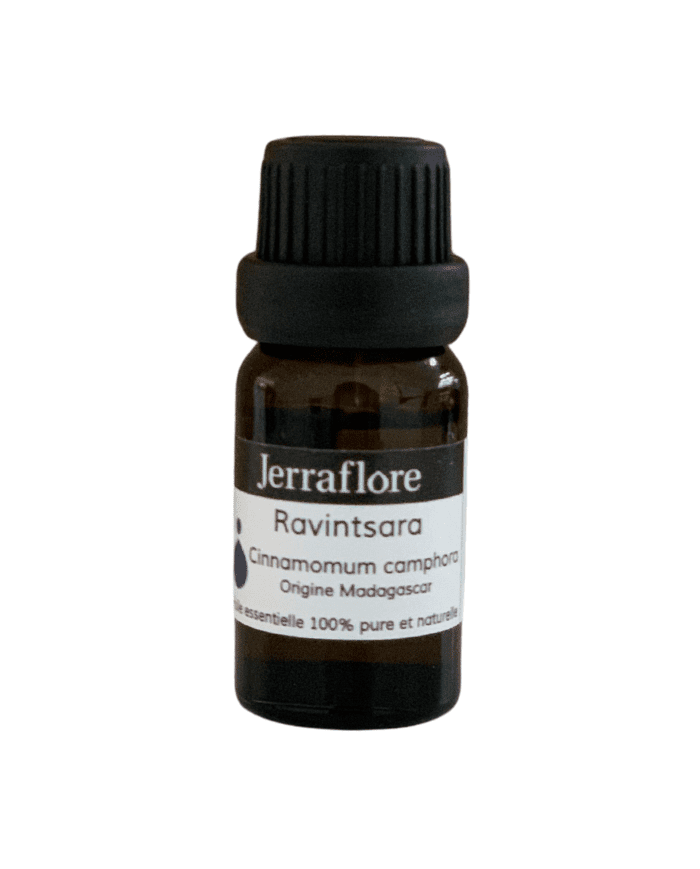 Huile essentielle de Ravintsara 10ml – Jerraflore