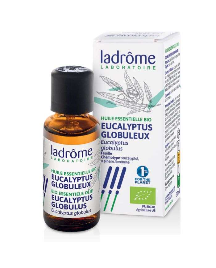 Huile Essentielle Bio d&rsquo;Eucalyptus Globulus – 10 ml