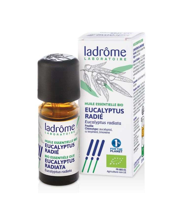 Huile Essentielle Bio Eucalyptus Radié de Ladrome