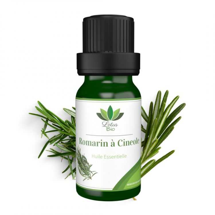 Huile essentielle de romarin à cinéole BIO – 10 ml
