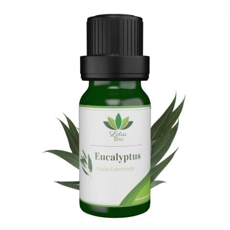 Huile essentielle d’eucalyptus bio Lotus 10ml