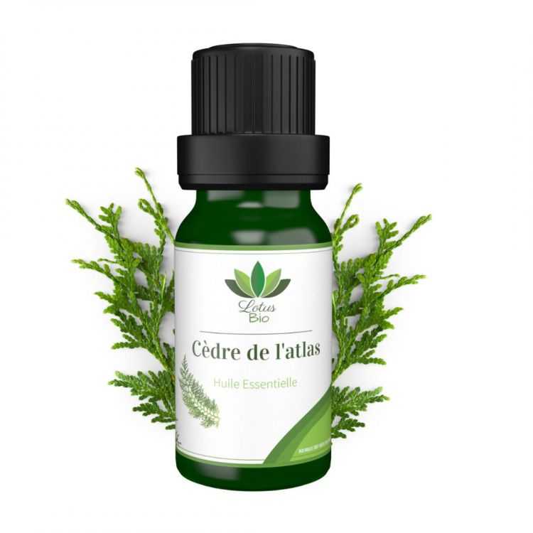 Huile Essentielle de Cèdre de l’Atlas Bio – 10 ml