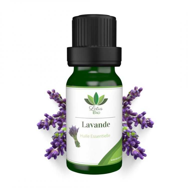 Huile essentielle de lavande bio – Lotus