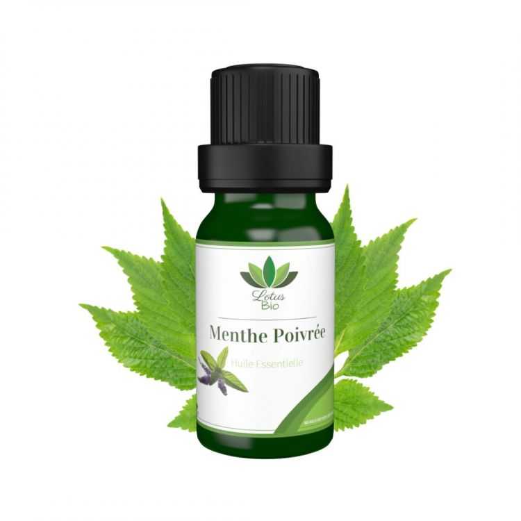 Huile Essentielle de Menthe Poivrée Bio – Lotus