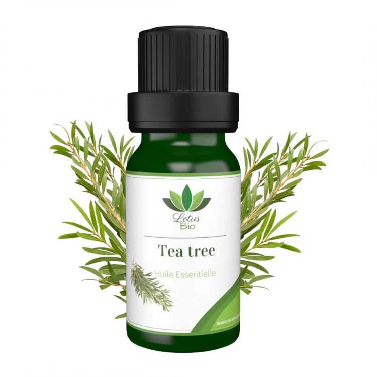 Huile Essentielle de Tea Tree Lotus Bio