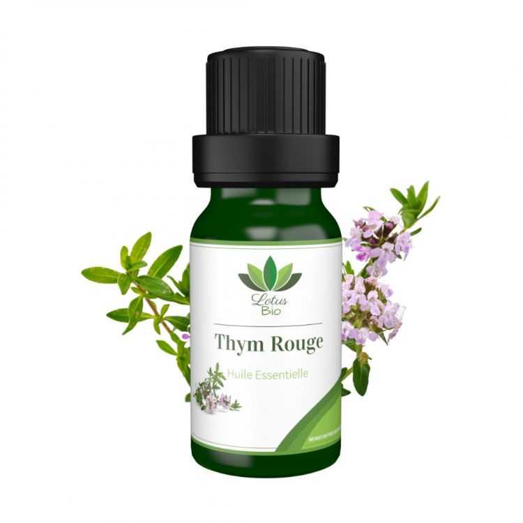 Huile essentielle de thym rouge bio – Lotus