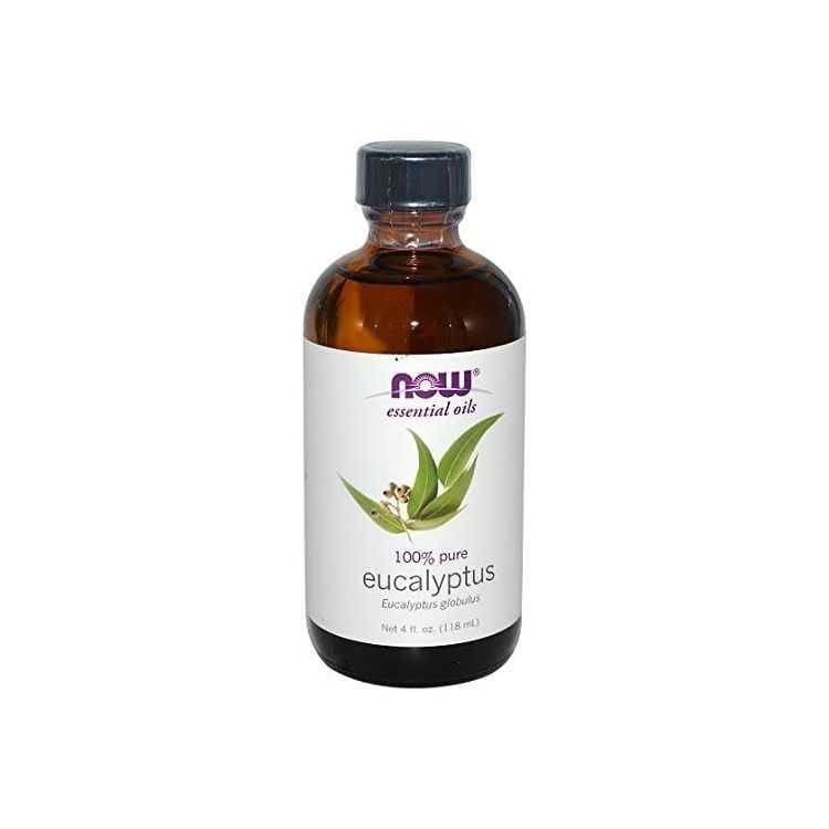 Huile d’Eucalyptus Globulus NOW 30ML