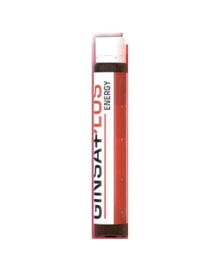 Winner Ginsa Plus Energy Shot 25ml – Énergie et Performance Optimale