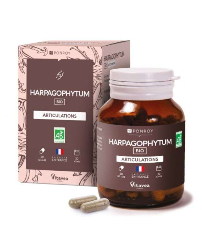 Harpagophytum pour Articulations – 60 Gélules